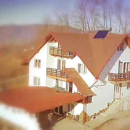 La Curtea Argeseana Apartment Valea Iasului Ngoại thất bức ảnh