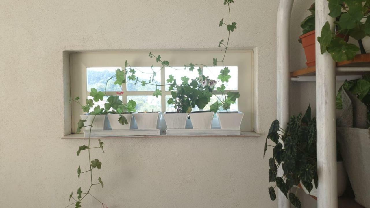 La Curtea Argeseana Apartment Valea Iasului Ngoại thất bức ảnh